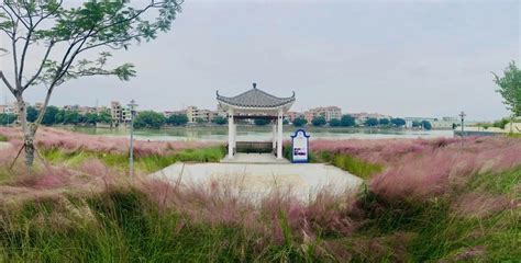 東莞萬江有什麼公園?公園不僅僅是綠意盎然的休閒場所，它們也是城市生態系統中不可或缺的一部分，為居民提供了一個與自然接觸、放鬆身心的空間。